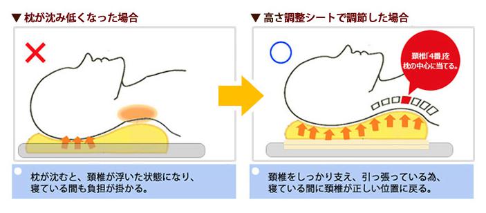 めりーさんの高反発枕　頸椎(首の骨)を支える設計2